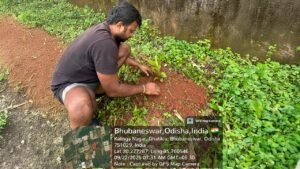 Rational community empowerment awareness program by ASRRA